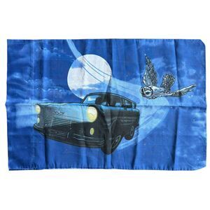 Vtg. Harry Potter Chamber of Secrets Pillow Case Forbidden Forest Spiders Hedwig